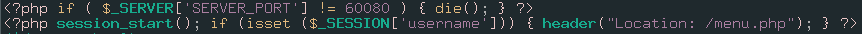 server port