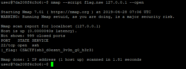 flagoutput